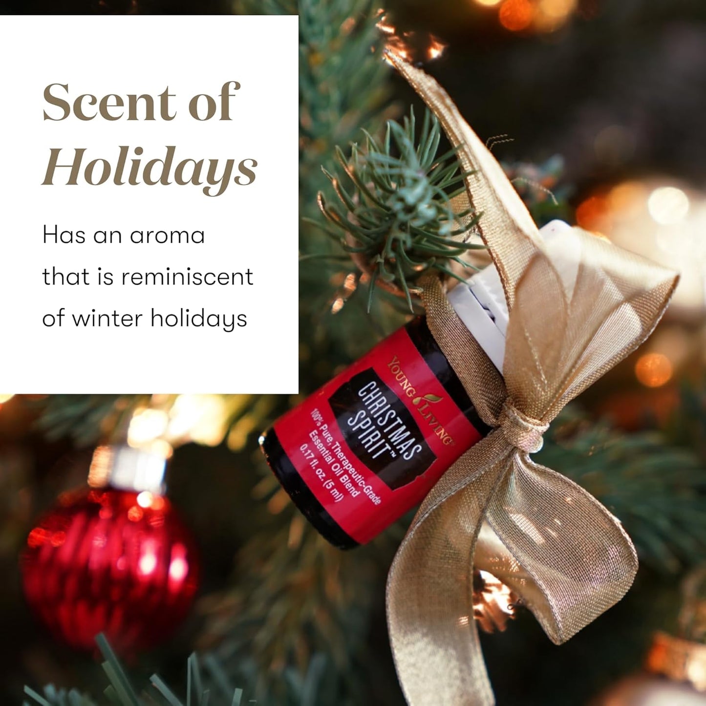 Young Living - Christmas Spirit | Festive Essential Oil Blend for Diffusers | Aromatherapy for Holiday Cheer, Winter Memories, & Natural Air Freshening | 5 ml