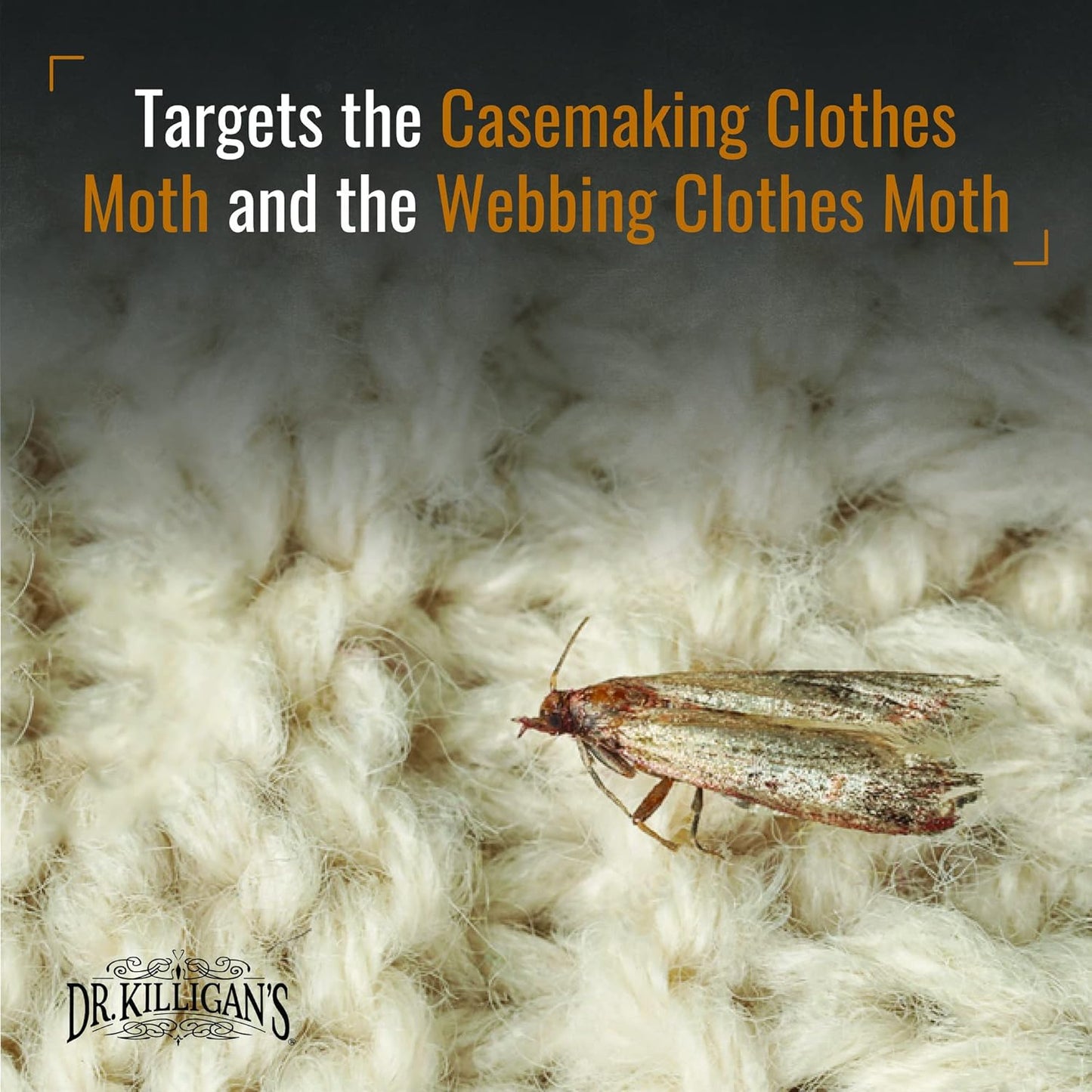 Dr. Killigan's Premium Clothing Moth Traps with Pheromones Prime | Non-Toxic Clothes Moth Trap with Lure for Closets & Carpet | Moth Treatment & Prevention | Case Making & Web Spinning (Black, 6 pack)