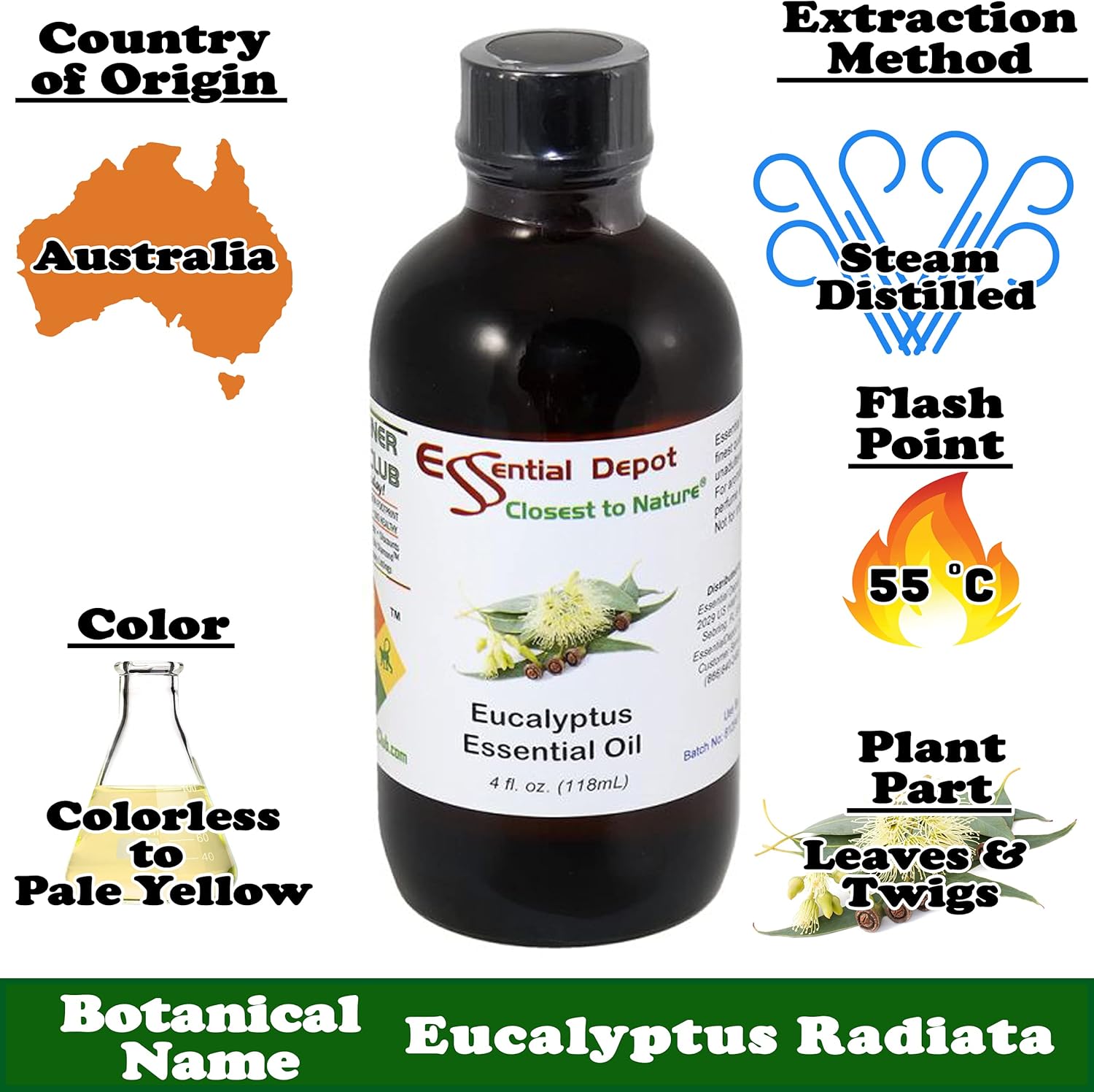 Essential Depot Eucalyptus Essential Oil - GC/MS Tested - Supplied in 4 oz. Amber Glass Bottle with Black Phenolic Cone Lined and Safety Sealed Cap