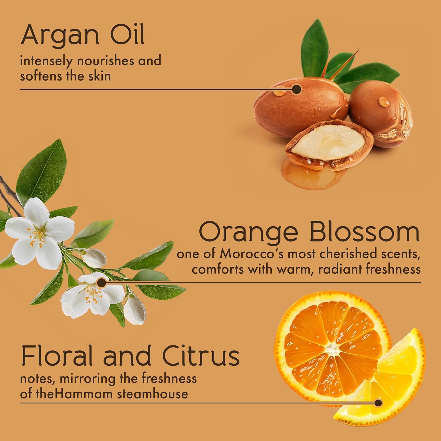 Tesori d’Oriente Hammam Body Wash & Bubble Bath, 17.5 fl oz, Gentle, Hydrating Shower Gel with Argan Oil & Vitamin E, Warm Orange Blossom Scented, No Silicones, Parabens & Mineral Oil