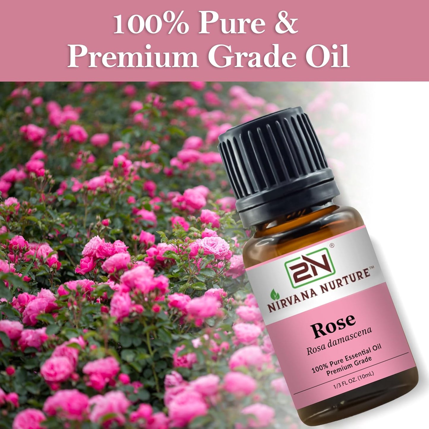 Rose Essential Oil, 100% Pure Undiluted, Aromatherapy Oil for Diffuser, Hair & Skin Care