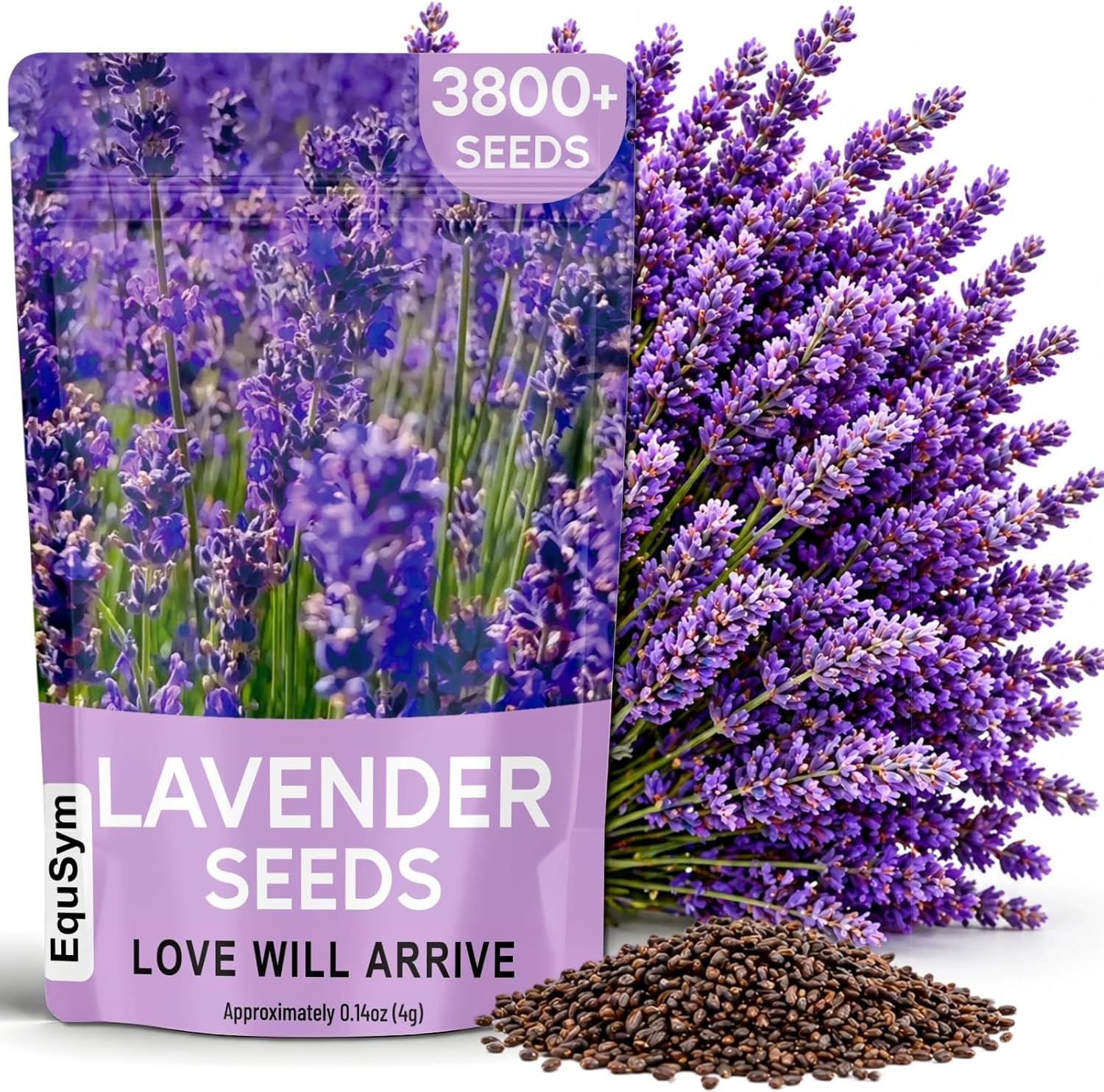 Lavender Seeds for Planting - 3800+ English Lavender Seeds for Indoor & Outdoor, Non-GMO, Heirloom, Easy to Grow Fragrant Purple Flowers for Pots, Garden Borders, Patios