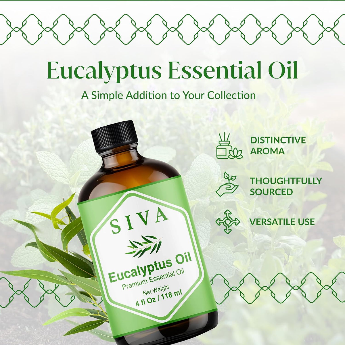 Siva Eucalyptus Essential Oil