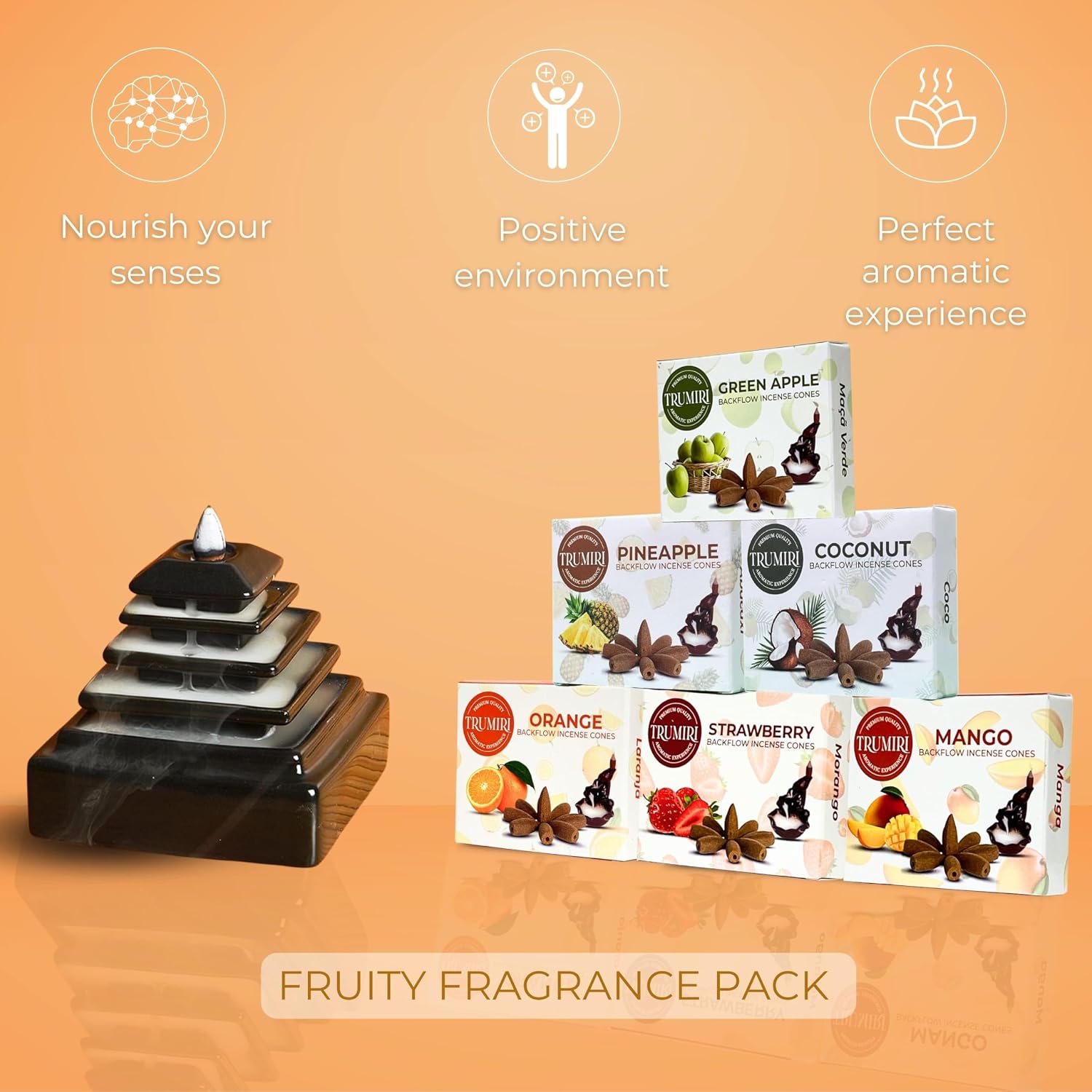 Fruity - Backflow Incense Cones for Waterfall - Scented Inscents-Cones - Pineapple, Strawberry, Coconut, Mango, Apple, Orange - Insiensos Aromaticos - 6x10=60 Large Variety Pack