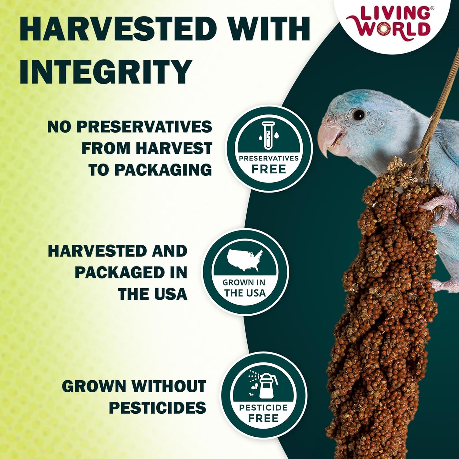 Living World – Millet Spray for Birds, 7 Oz – Premium Treat for Budgies, Canaries, Finches, Cockatiels and Other Pet Birds