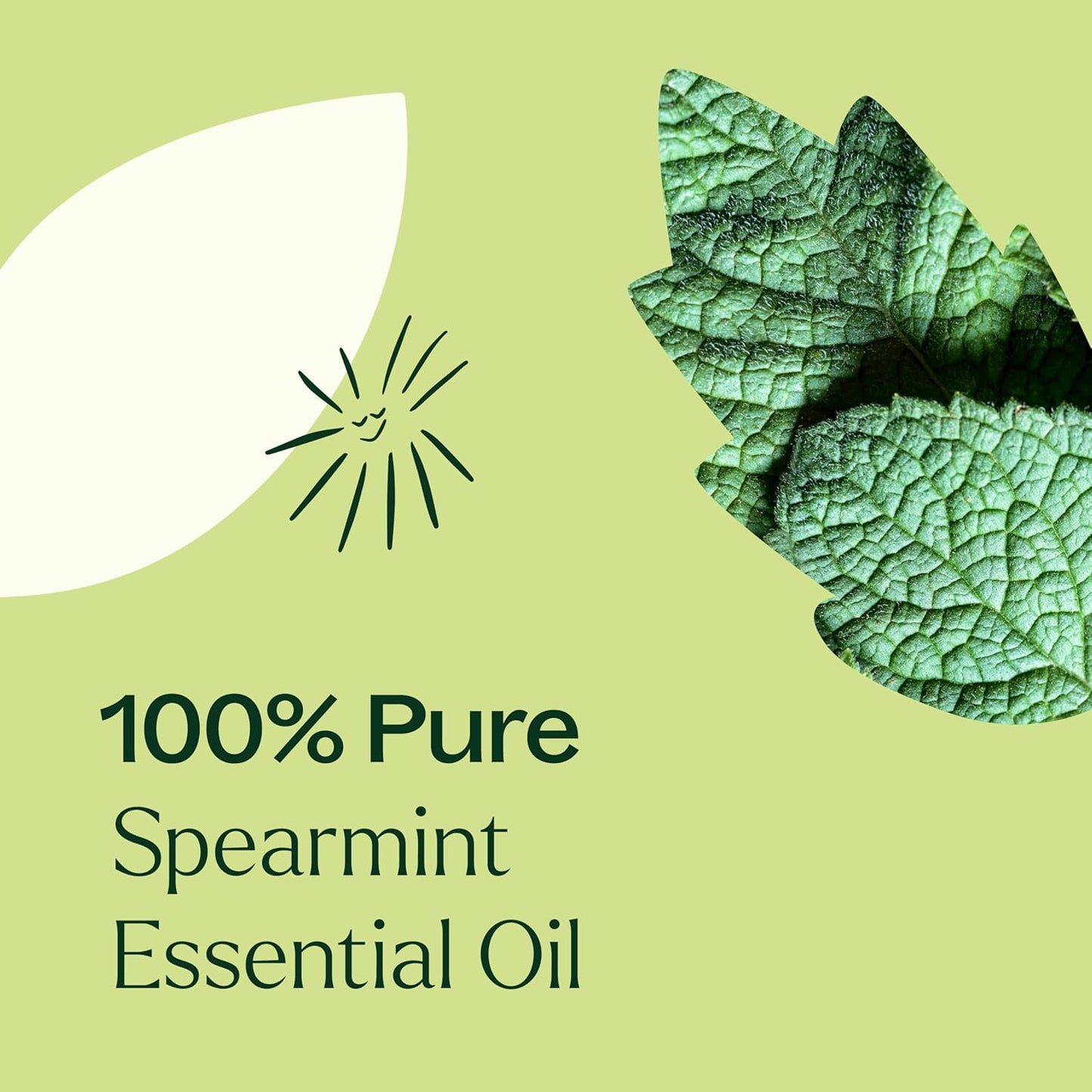 Plant Therapy Spearmint Essential Oil 100 mL (3.3 oz) 100% Pure, Undiluted, Digestive Health, Fresh Scent, Tension Relief