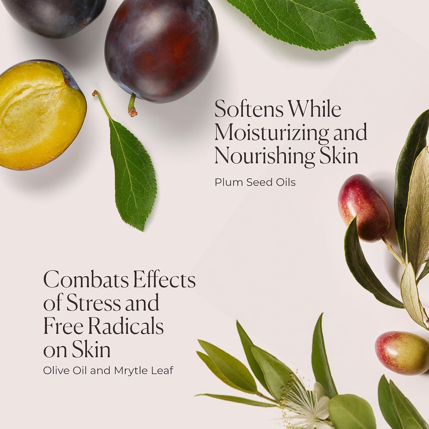 Laura Mercier Serum Body Cream, Moisturizing Serum-Infused, 48HR Hydration, Improves Skin Barrier, Soothes Dry Skin, Shea Butter and Squalane Intensely Nourishes, Bath & Body Set