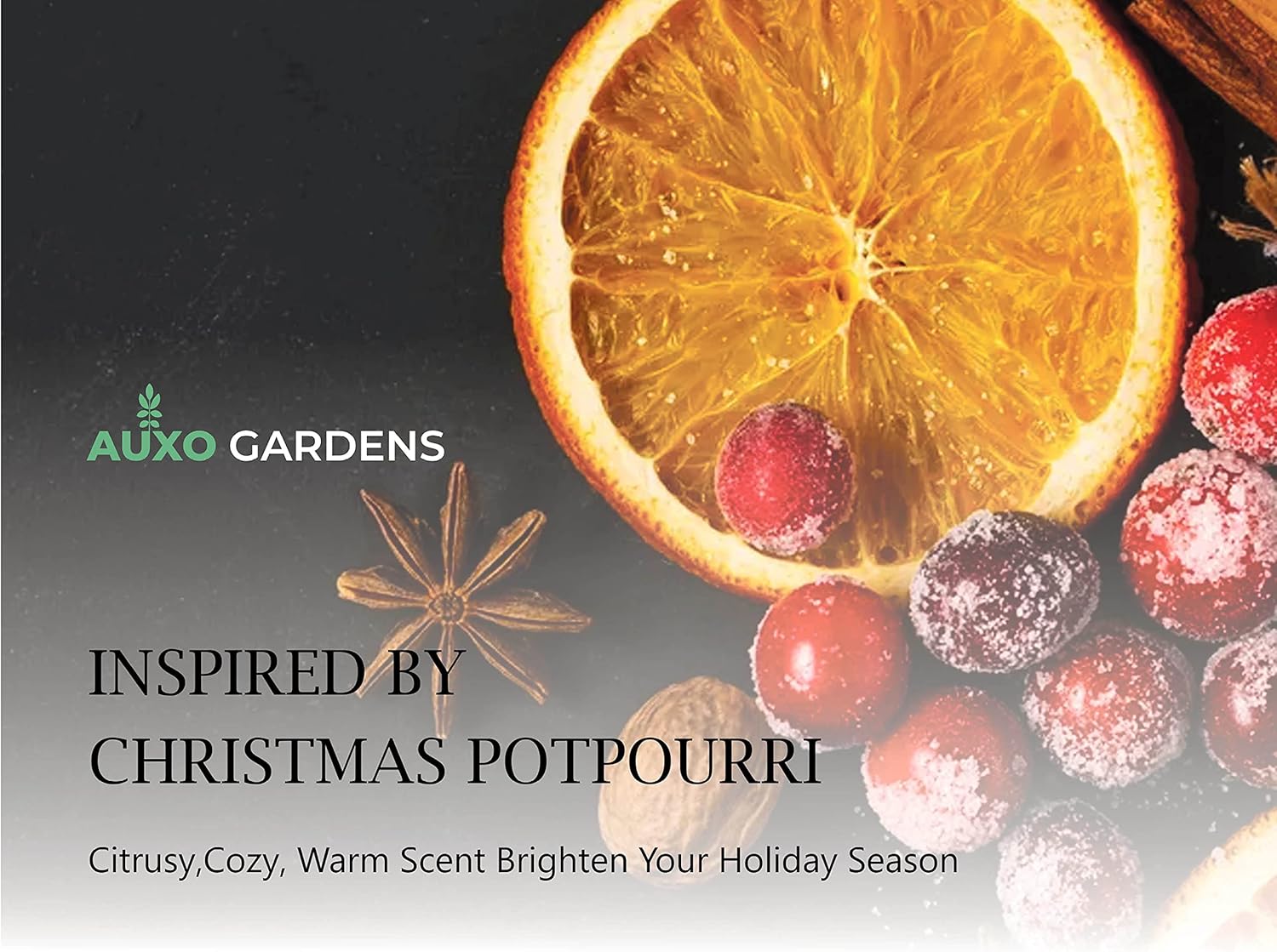 Christmas Joy Essential Oil Blend 1oz(30ml) - 100% Natural, Premium Quality Essential Oil Blend for Aromatherapy- Citrusy, Fresh, and Spicy