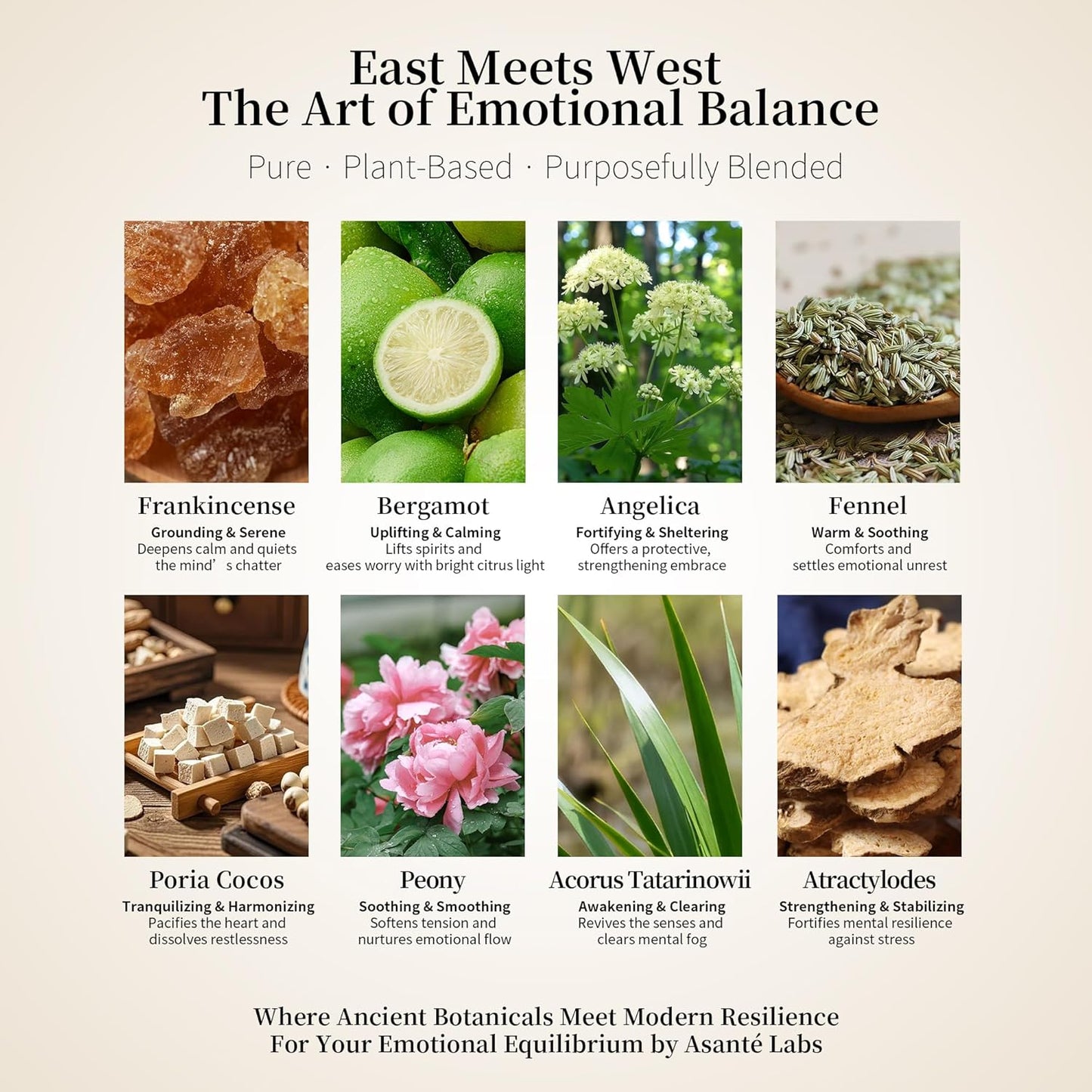 Solace Emotional Balance Essential Oil Blend for SPA, Guasha Massage & Bath – Frankincense, Bergamot & Angelica to Soothe Stress & Uplift Mood – 100% Natural & Pure - Herbal Aroma - 0.17 Fl Oz