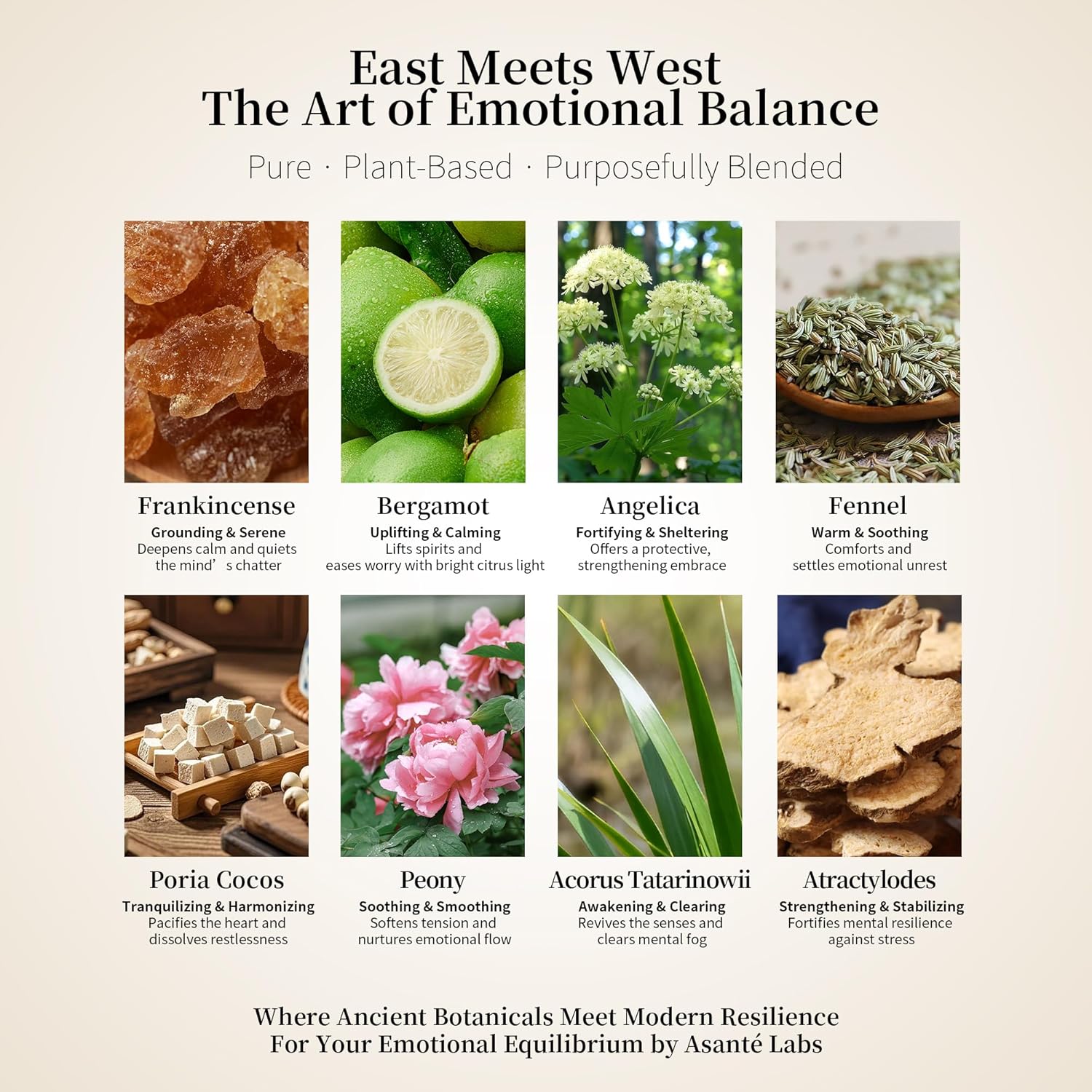 Solace Emotional Balance Essential Oil Blend for SPA, Guasha Massage & Bath – Frankincense, Bergamot & Angelica to Soothe Stress & Uplift Mood – 100% Natural & Pure - Herbal Aroma - 0.17 Fl Oz