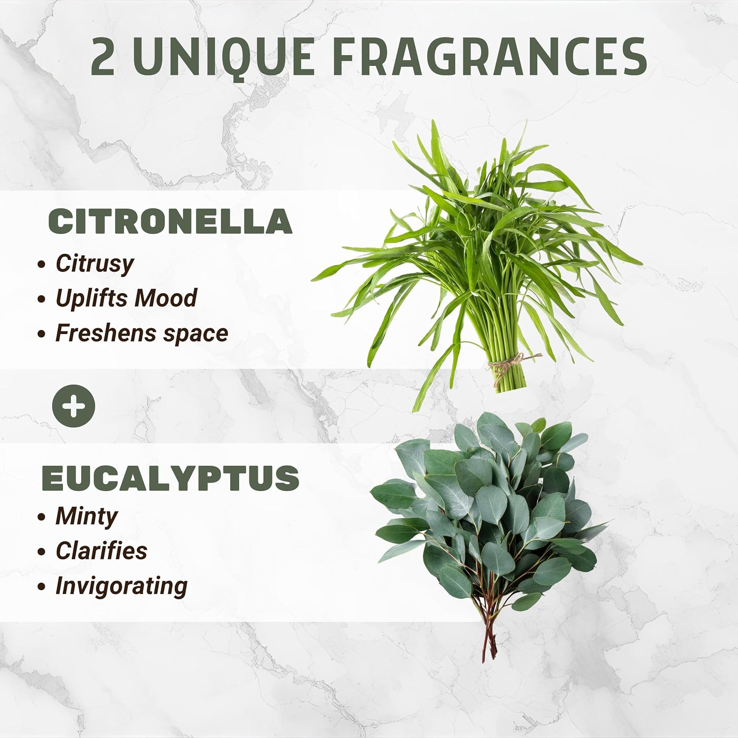 Folkulture Citronella Incense Cones (20 Cones) | Pack of 2 Citronella & Eucalyptus Outdoor Incense Cones for Camping Essentials, Apartment Patio Must Haves| Slow Burn, Non Toxic, Inscents-Cones