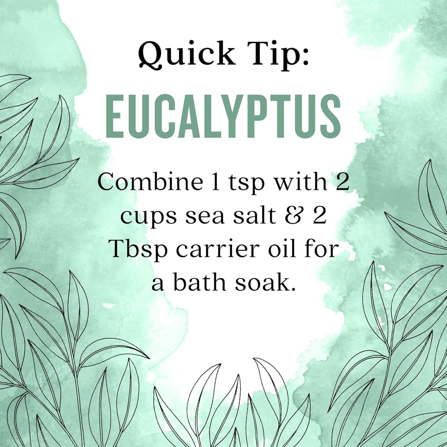 Aura Cacia Eucalyptus (globulus) Essential Oil 4 fl. oz.