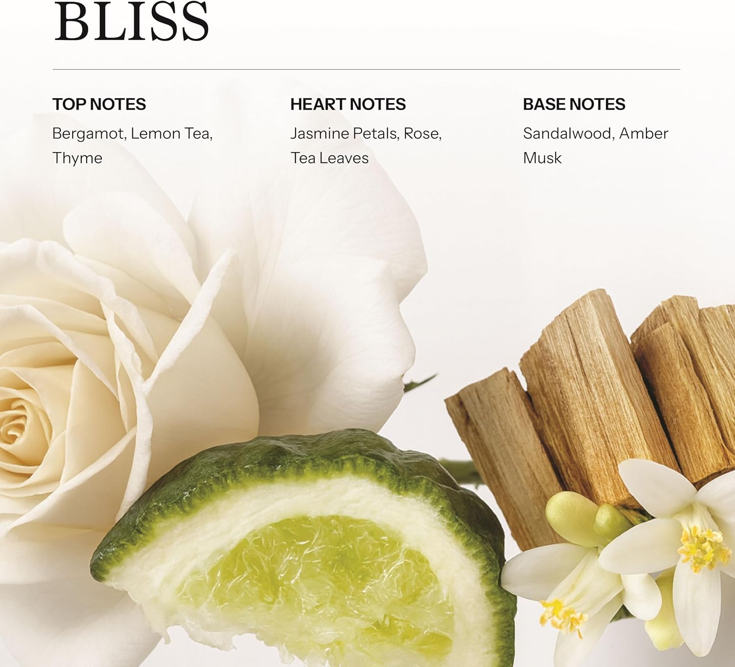 Bliss Hotel Diffuser Oil 100ml, 3.38 oz Aroma Oil, Scent Inspired by The World’s Most Iconic Luxury Hotels, Aromatherapy Refill Fragrance for Waterless Cold Air Diffusers, Home, Office, Hotel