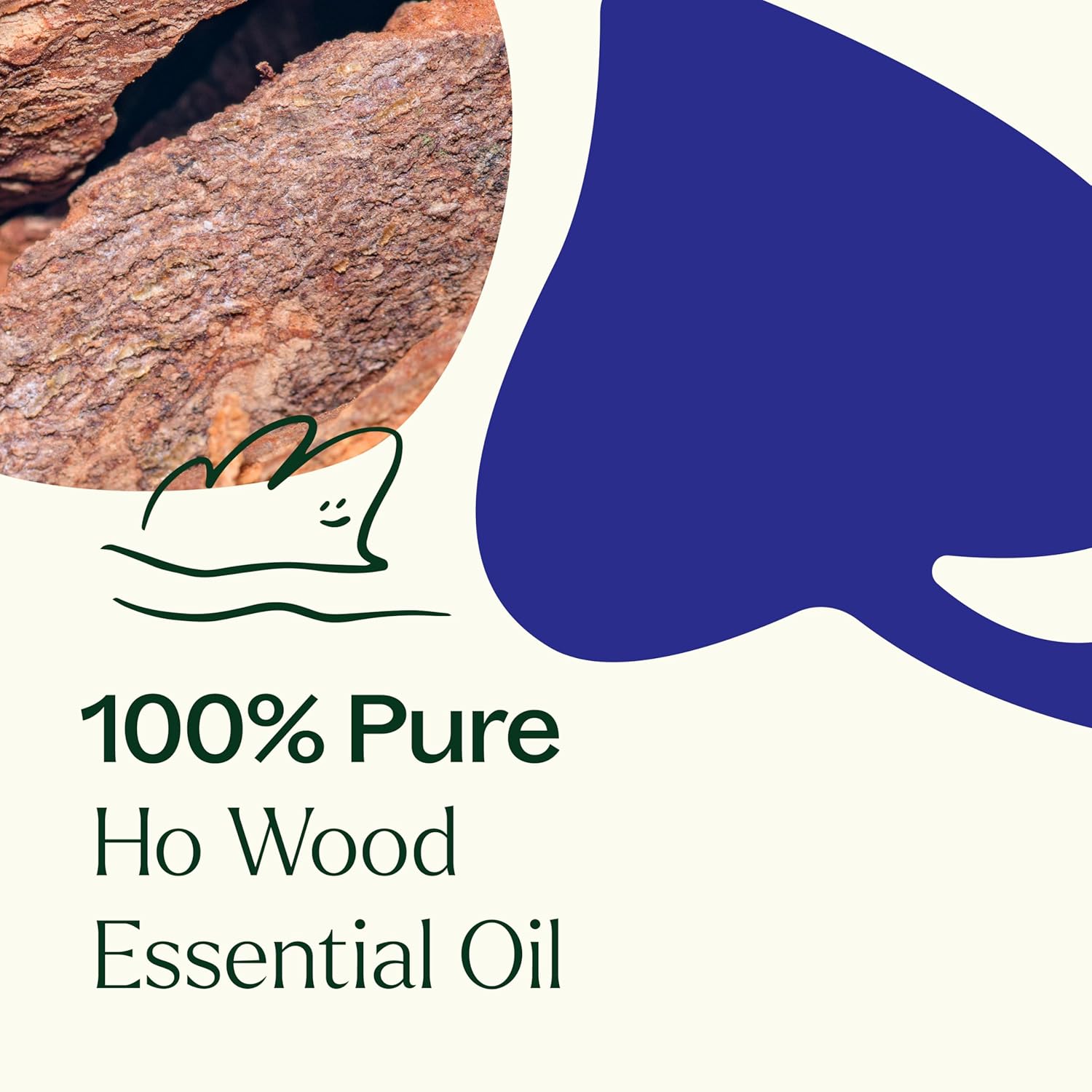 Plant Therapy Ho Wood Essential Oil 30 mL (1 oz) 100% Pure, Undiluted, Aromatherapy, Calming Floral Scent for Relaxation and Sleep Support
