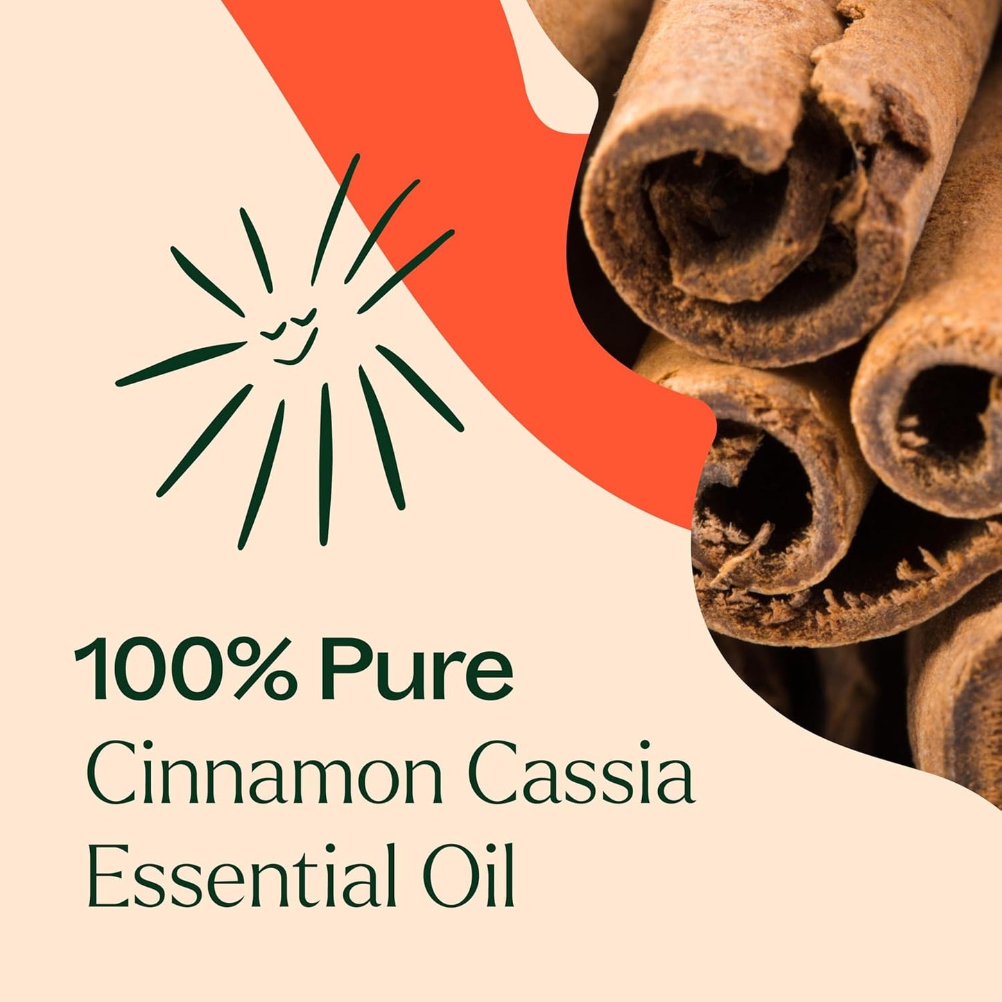 Plant Therapy Cinnamon Cassia Essential Oil 30 mL (1 oz) 100% Pure, Undiluted, Cozy Aroma, Soothes Sore Muscle