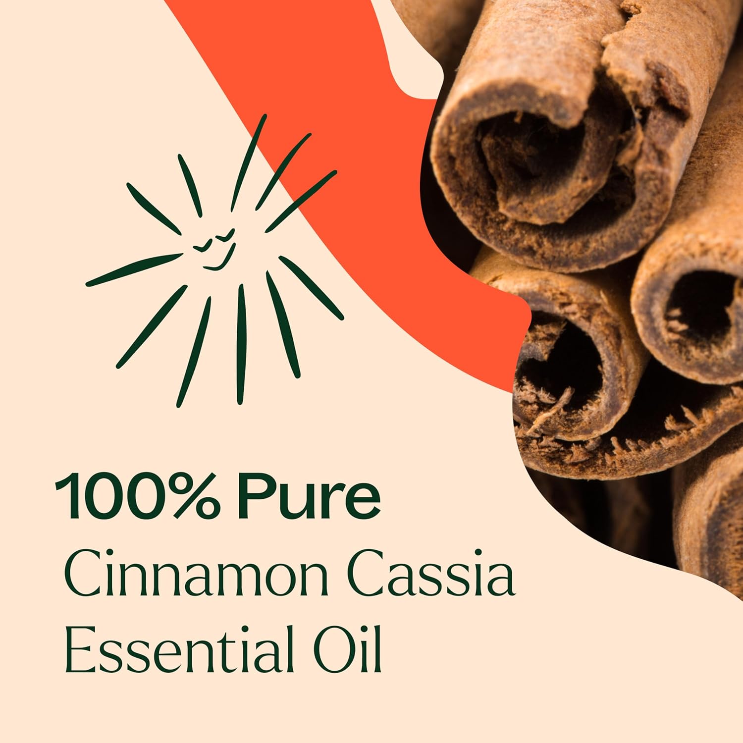Plant Therapy Cinnamon Cassia Essential Oil 30 mL (1 oz) 100% Pure, Undiluted, Cozy Aroma, Soothes Sore Muscle