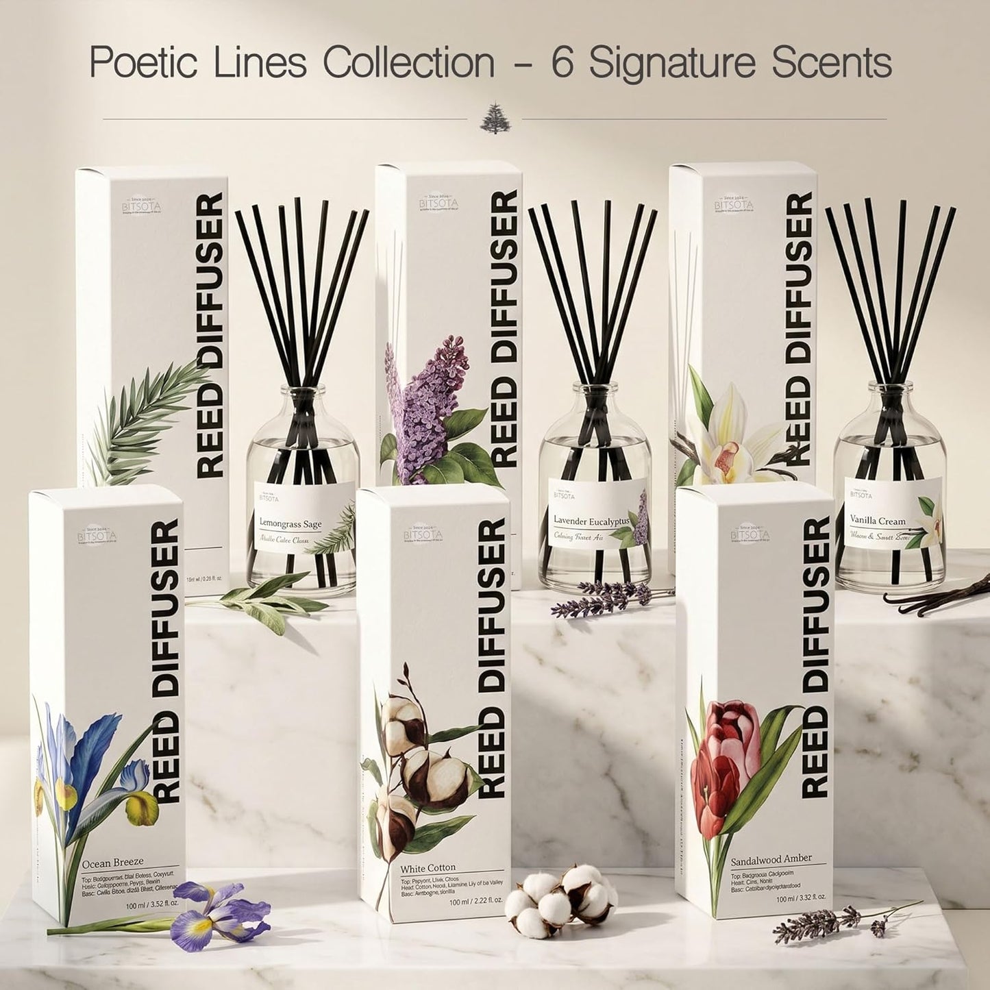 Reed Diffuser Set for Bathroom & Home, Long Lasting Essential Oil Aroma, Glass Bottle Home Fragrance with Sticks, Ideal Gift for Woman