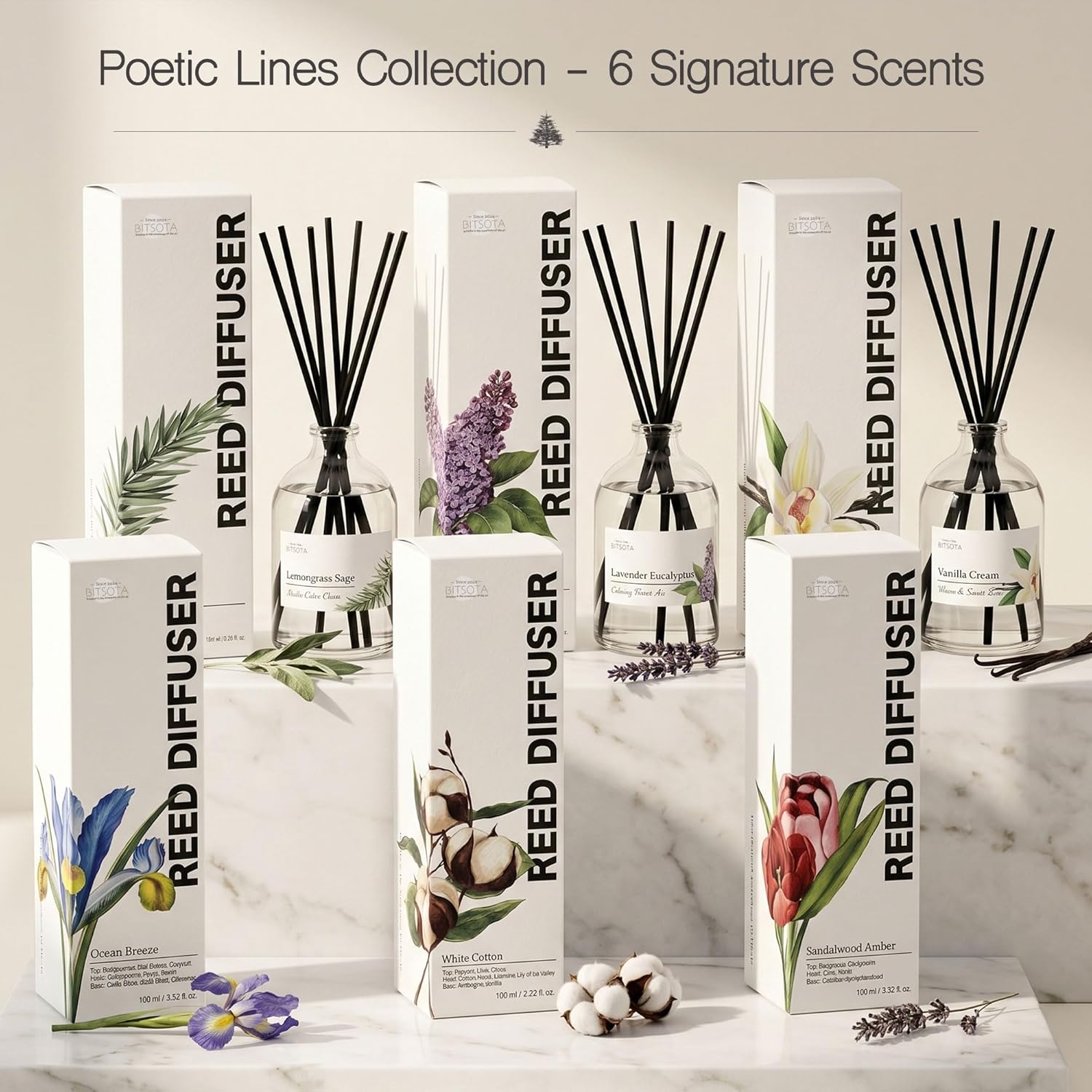 Reed Diffuser Set for Bathroom & Home, Long Lasting Essential Oil Aroma, Glass Bottle Home Fragrance with Sticks, Ideal Gift for Woman