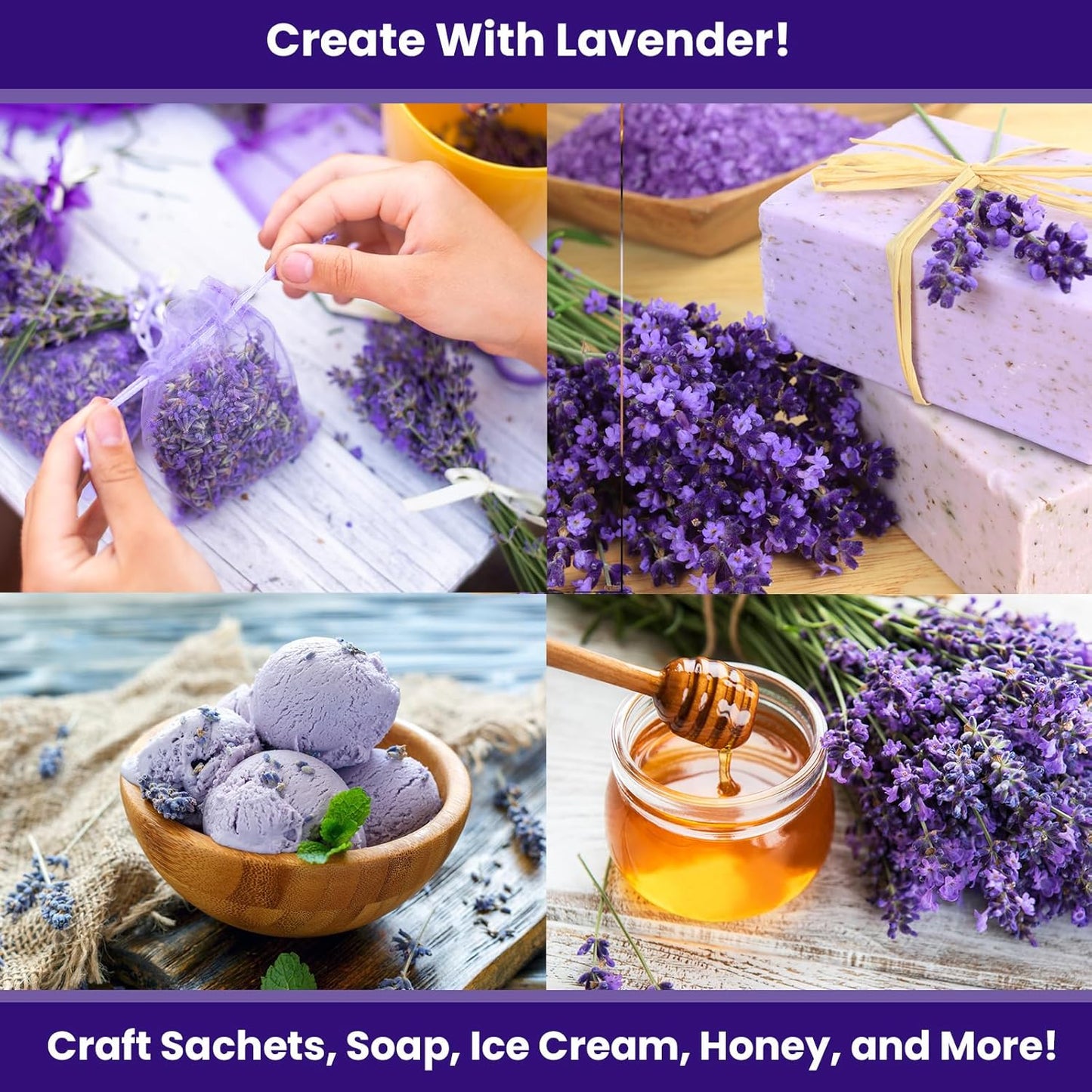 NatureZ Edge1500 English Lavender Seeds for Planting Outdoors or Indoors, 90% Germination, Lavender Plants, Non-GMO, Heirloom Herb Seeds (1 Pack)