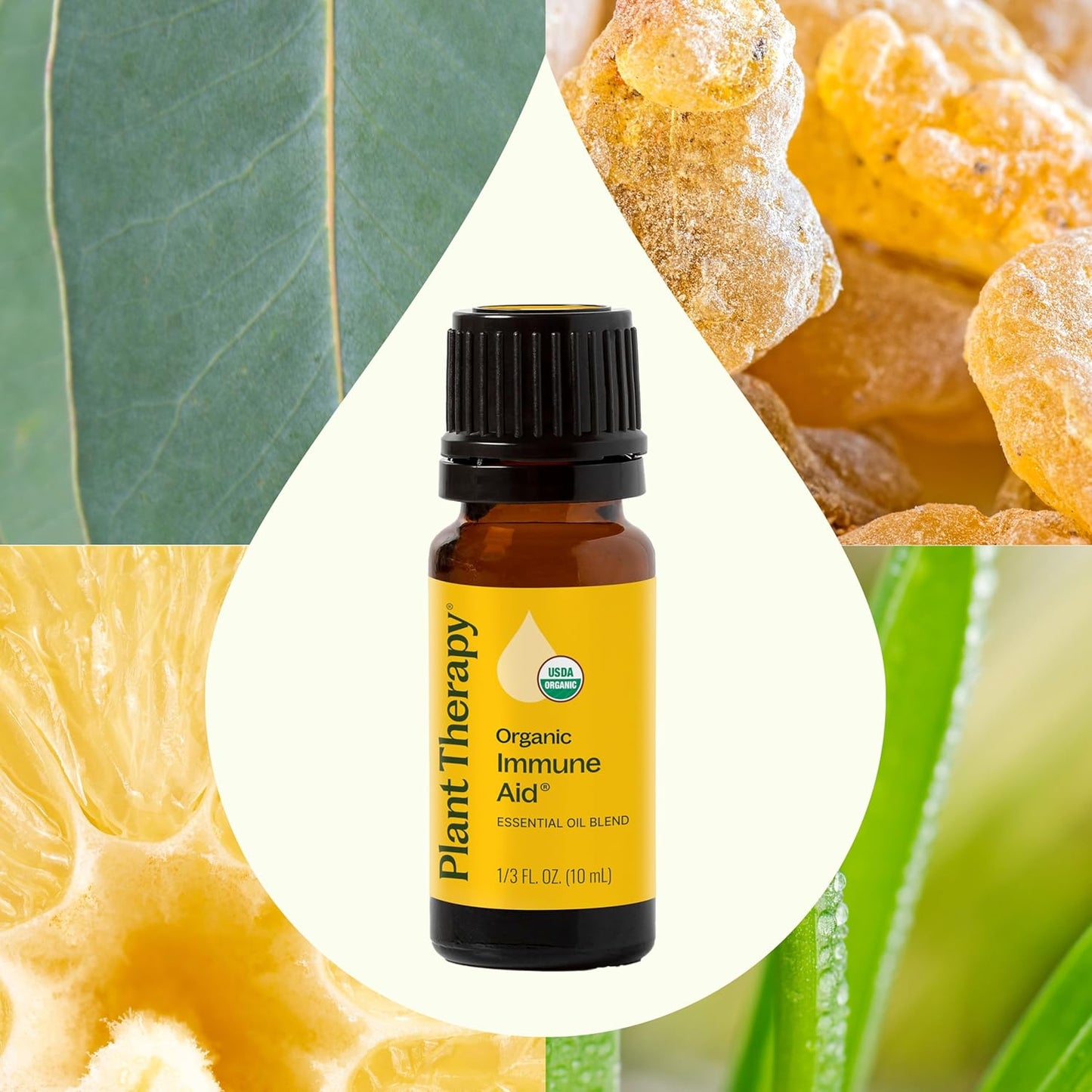 Plant Therapy Organic Immune Aid Essential Oil Blend, 10 mL (1/3 oz), 100% Pure, Undiluted, Supports a Healthy Immune System, Encourages Overall Wellness