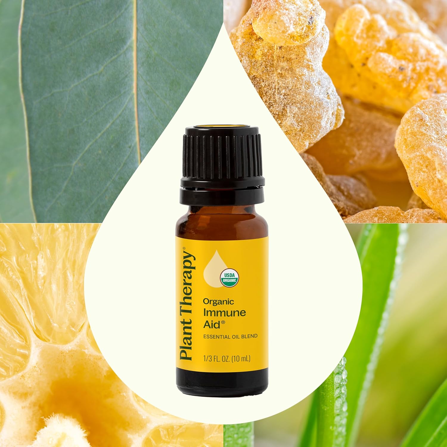 Plant Therapy Organic Immune Aid Essential Oil Blend, 10 mL (1/3 oz), 100% Pure, Undiluted, Supports a Healthy Immune System, Encourages Overall Wellness
