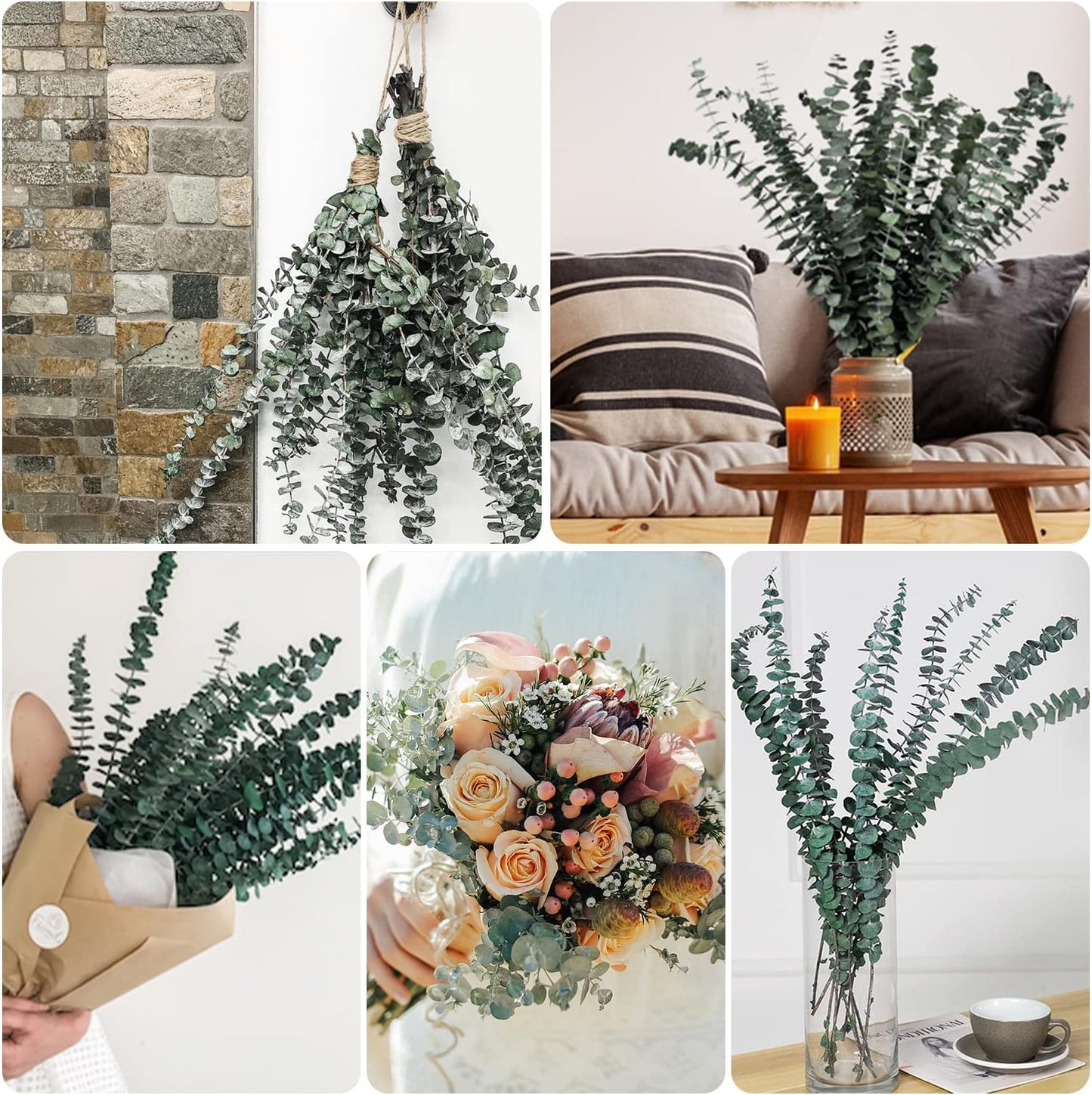 20 Pcs Dried Eucalyptus for Shower - Real Eucalyptus Stems,17'' Fresh 100% Natural Leaves & Aromatic for Shower Spray, Home Decor, Party Present, Wedding Gift