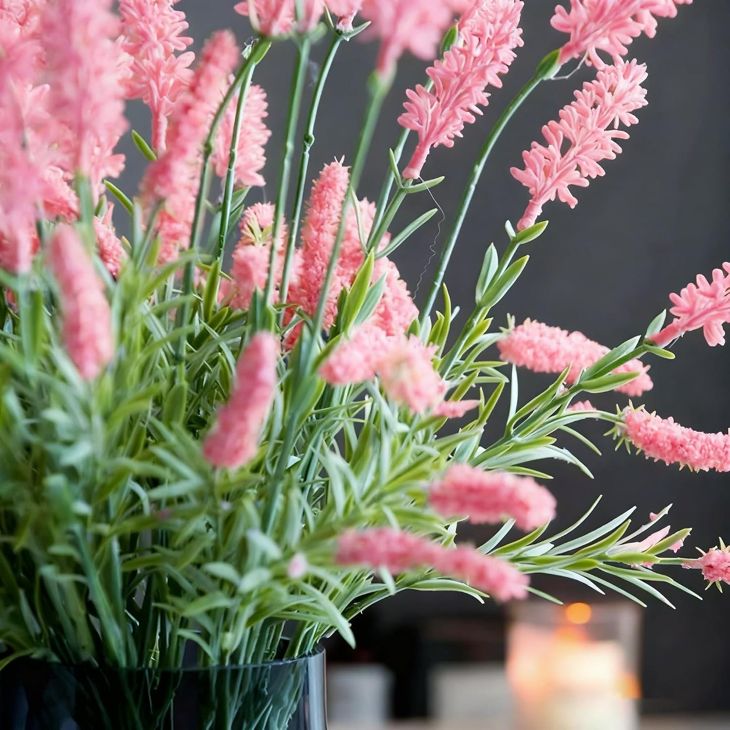 500pcs Mixed Lavender Seeds for Planting, Non-GMO Heirloom Lavender Perennial Flower Seeds Plants, Open Pollinated Beauty Home Garden Flowers in Outdoors Indoors
