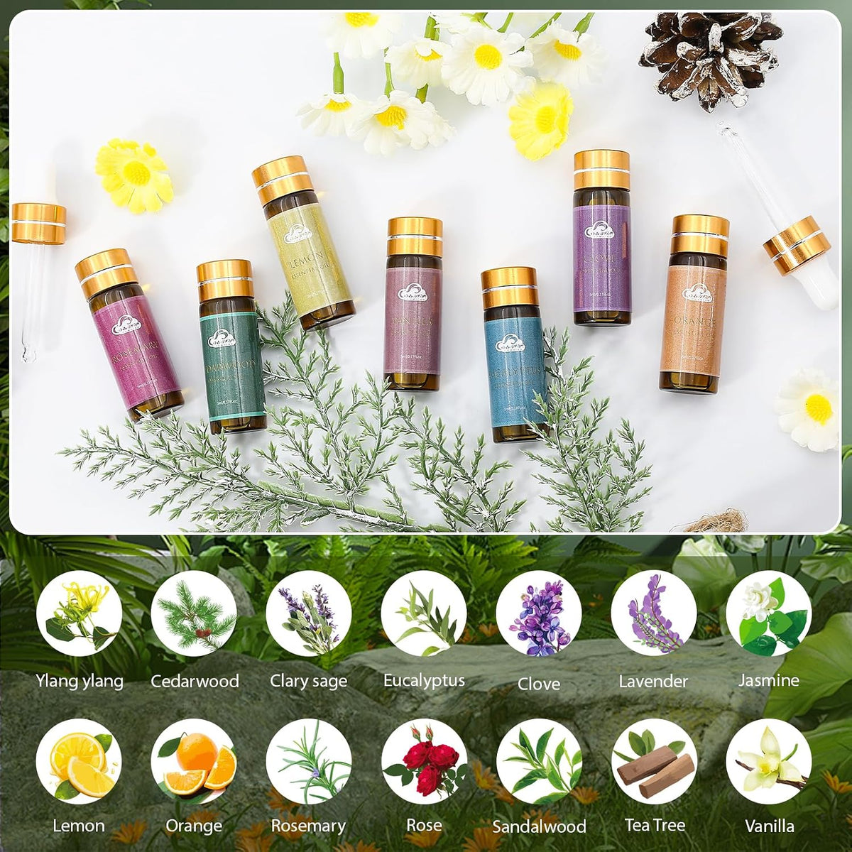 Fragrance Essential Oils Set - 14pcs
