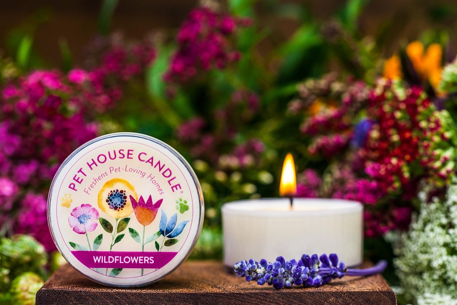 Pet House Mini Candles for Pet Odor Made with Natural Soy Wax, Plant Based, Dog and Cat Friendly Scented Candles, Floral Variety Pack of 3