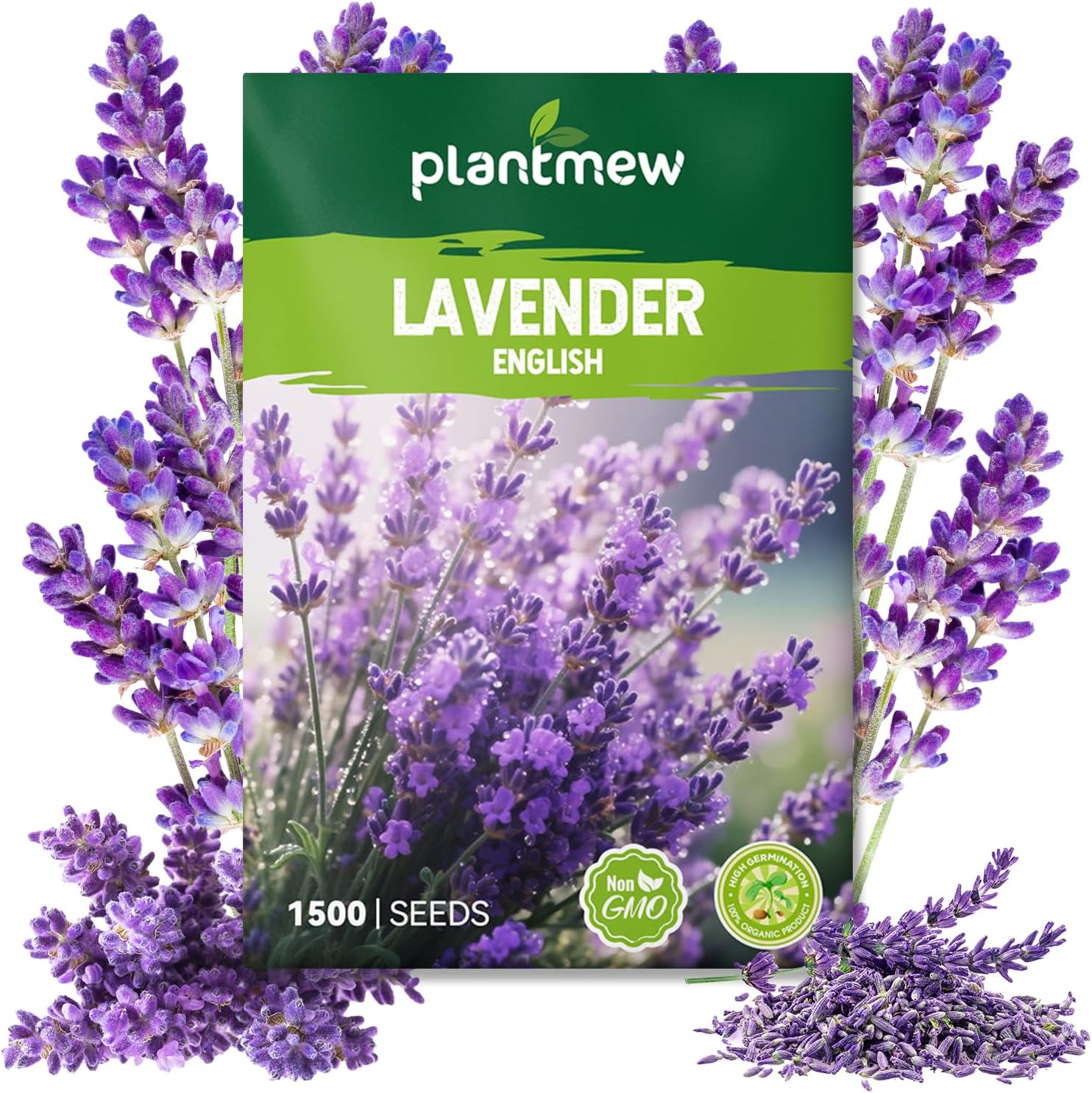 English Lavender Seeds for Planting - 1500+ Heirloom Seeds - High Germination, Fragrant Purple Flowers Herb Seeds for Home Garden, Indoor/Outdoor
