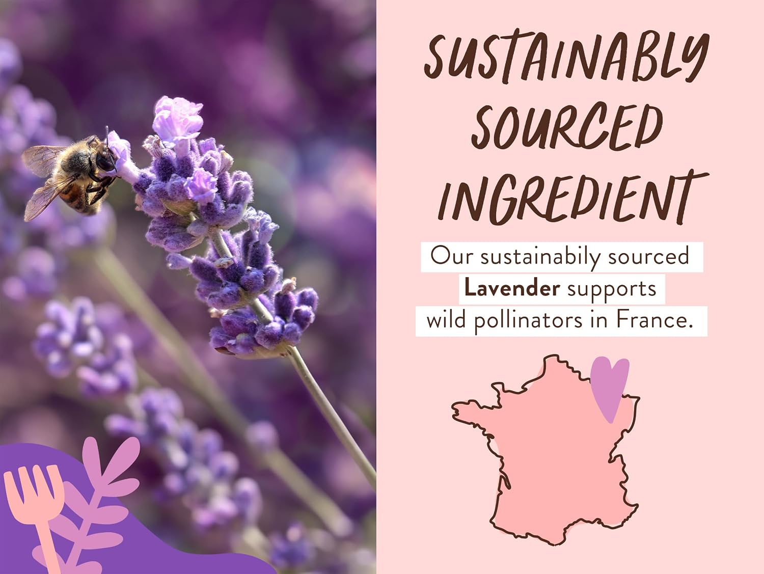 BABO Botanicals Calming Lavender 2-in-1 Bubble Bath & Wash - Relaxing Chamomile & Lavender - EWG Verified- Vegan- for All Ages- Scented with Lavender Essential Oil