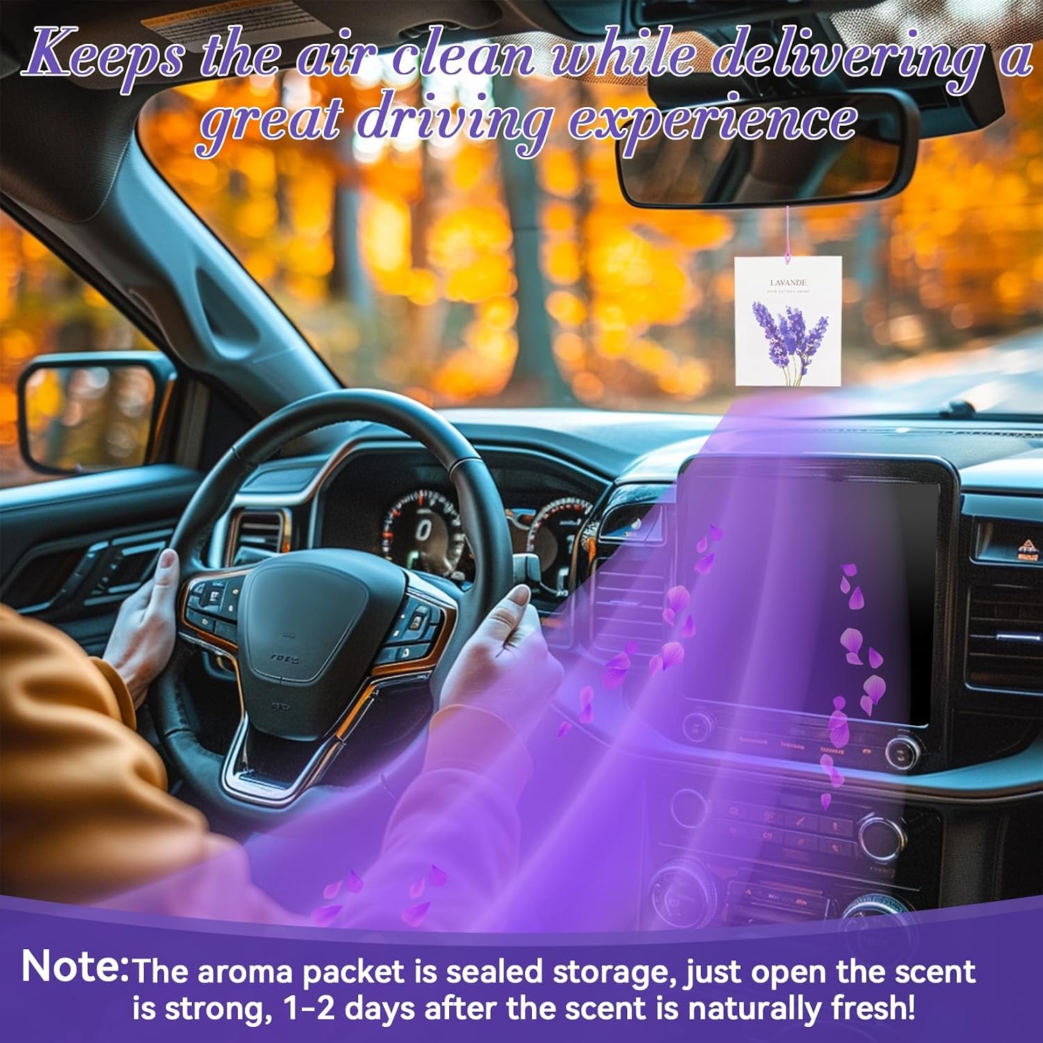 RAINFLOW Lavender Sachets for Drawers and Closets - 10 Pack Scented Sachet Bags for Clothes, Closet Freshener and Small Spaces Home Fragrance for Wardrobe, Car, Bedroom