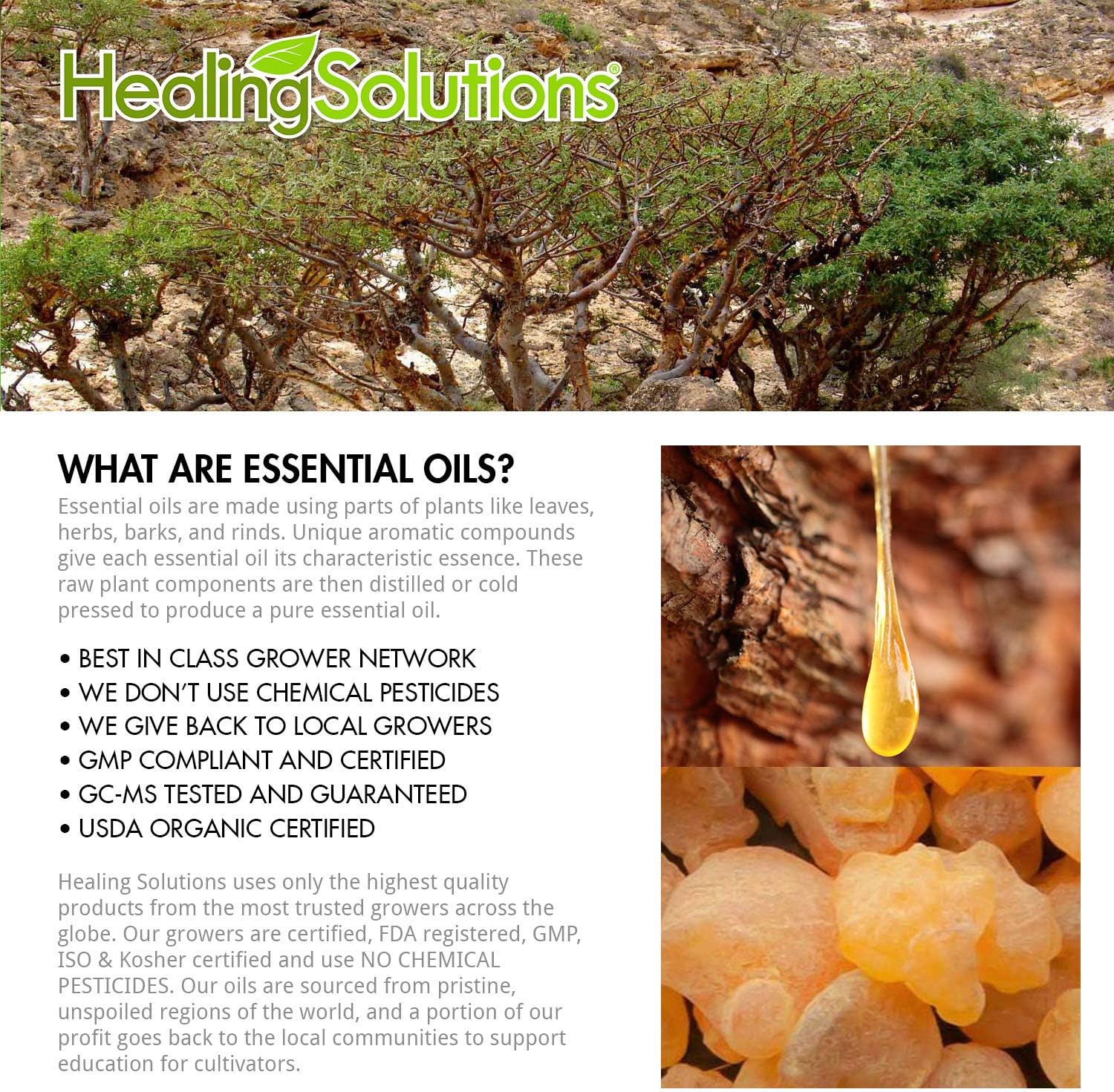 Healing Solutions 120ml Oils - Frankincense Essential Oil - 4 Fluid Ounces