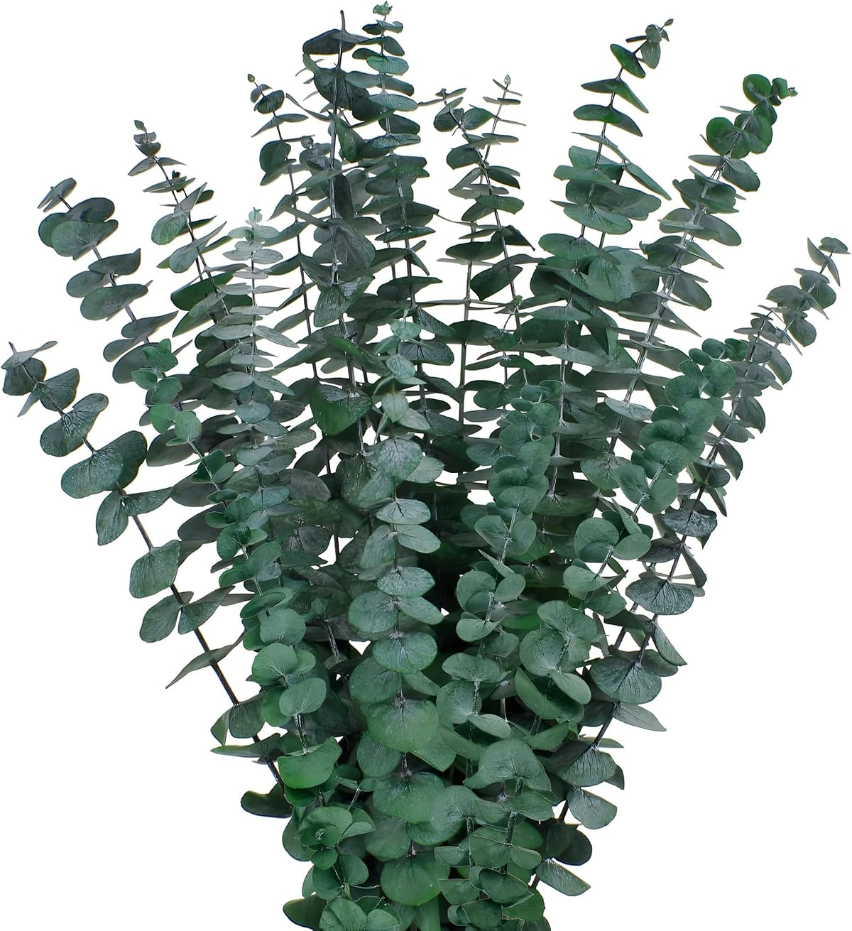 12PCS Dried Eucalyptus Bundle 17'' Real Eucalyptus Stems 100% Natural Fresh Leaves Hanging Plants Greenery Stems for Shower