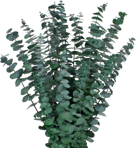 12PCS Dried Eucalyptus Bundle 17'' Real Eucalyptus Stems 100% Natural Fresh Leaves Hanging Plants Greenery Stems for Shower