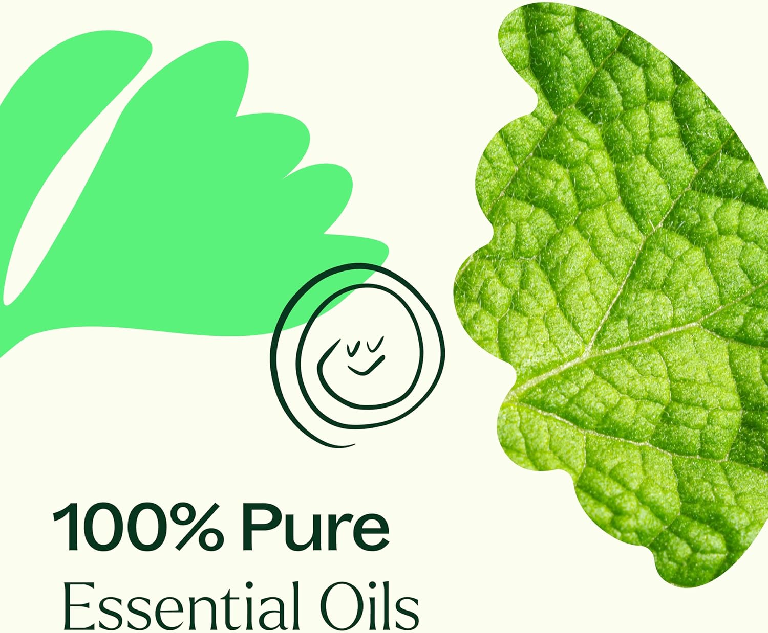 Plant Therapy Gut Aid Essential Oil Blend 10 mL (1/3 oz) 100% Pure, Undiluted, Natural Aromatherapy for Upset Stomach Relief