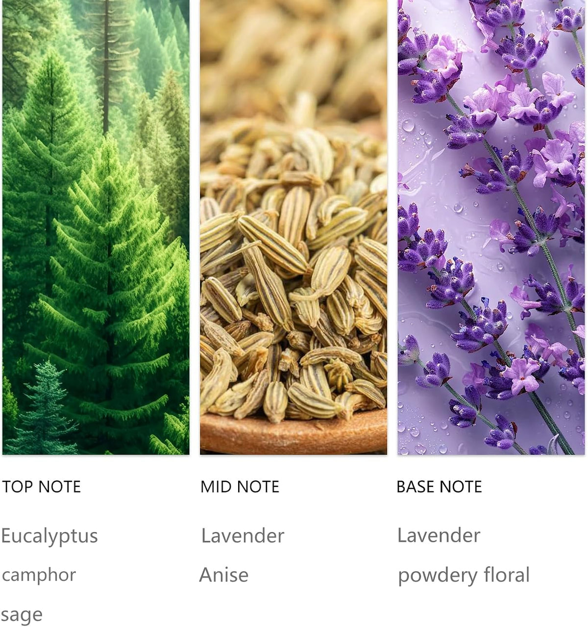 20ML Hotel Waterless Diffuser Oil
