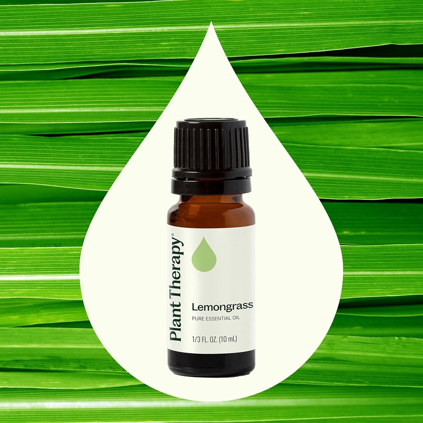 Plant Therapy Organic Lemongrass Essential Oil 10 mL (1/3 oz), 100% Pure, Undiluted, Aromatherapy, Deodorizing, and Immune Support