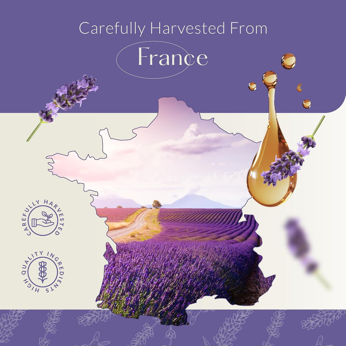 HBNO California Bottled Dutch Lavender Essential Oil 4 fl oz (120ml) - Natural Lavender Oil for Skin