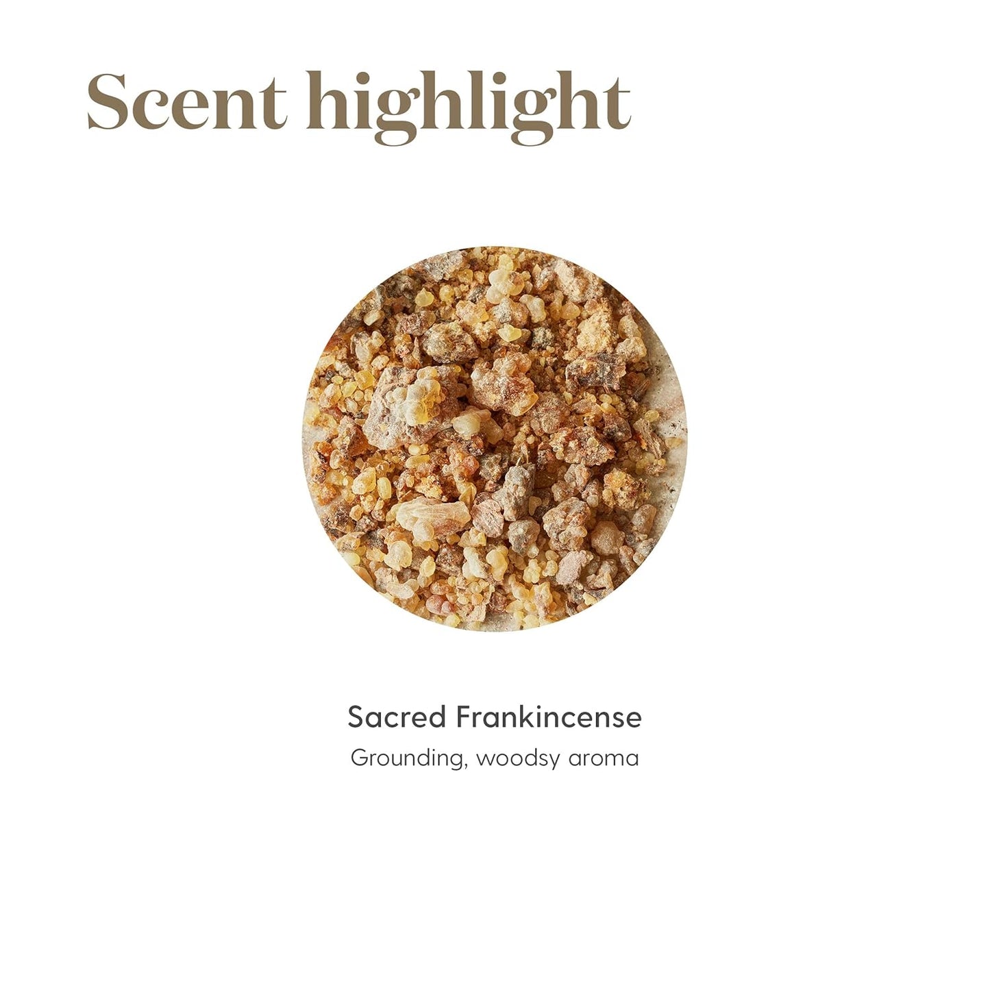 Young Living Sacred Frankincense Essential Oil 5ml | Pure Boswellia Sacra Resin Oil | Aromatherapy for Meditation & Diffuser Use | Calming Woodsy Aroma