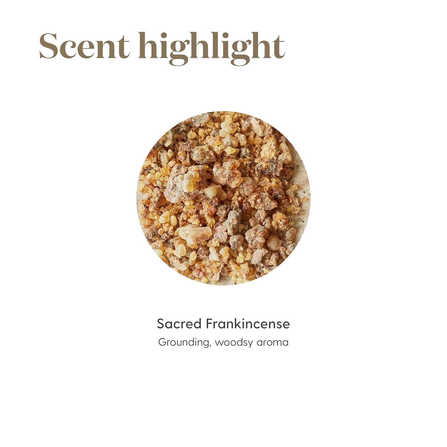 Young Living Sacred Frankincense Essential Oil 5ml | Pure Boswellia Sacra Resin Oil | Aromatherapy for Meditation & Diffuser Use | Calming Woodsy Aroma