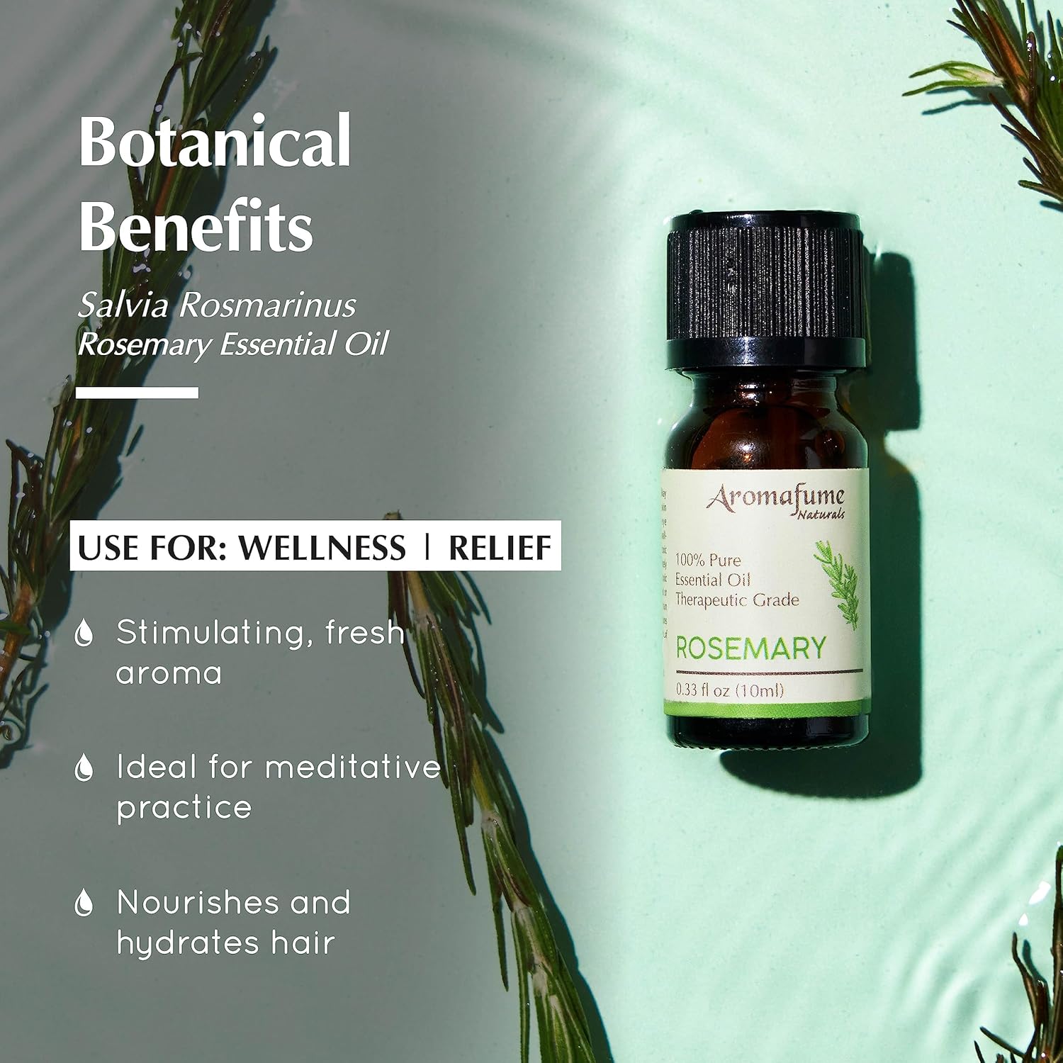 AROMAFUME Rosemary Essential Oil - 100% Natural, Therapeutic Grade Essential Oils - Pure, Woodsy Aromatherapy Oil for Meditation and Home Diffusers - Gifts for Her - 10ml
