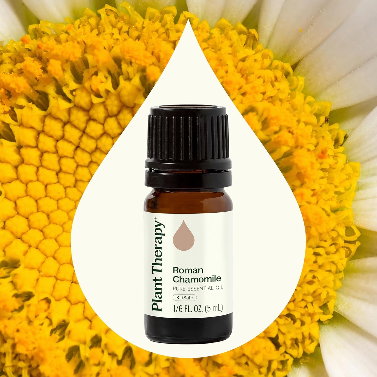 Plant Therapy Roman Chamomile Essential Oil 5 mL (1/6 oz) 100% Pure, Undiluted, Natural Aromatherapy for Relaxation and Stress Relief