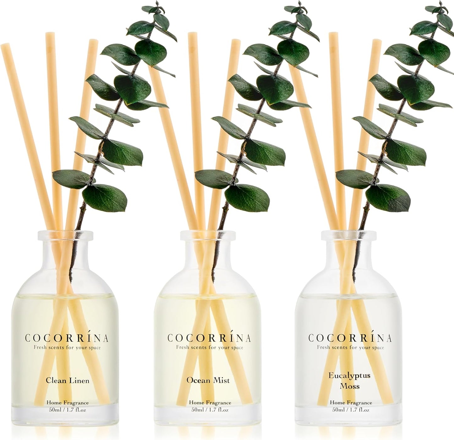 COCORRÍNA Eucalyptus Reed Diffuser Set of 3 - Eucalyptus & Moss, Clean Linen, Ocean Mist Scents, 1.7 fl oz Each, Total 5.1 oz, Scented Oil Diffusers for Home & Office