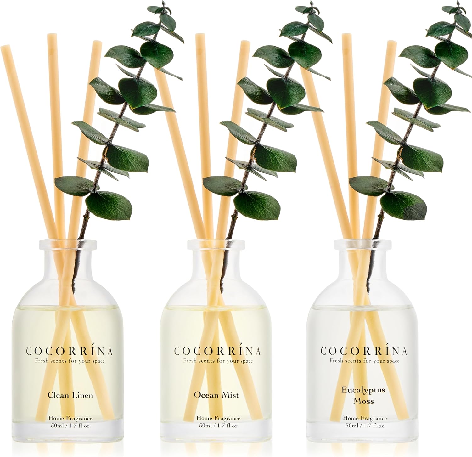 COCORRÍNA Eucalyptus Reed Diffuser Set of 3 - Eucalyptus & Moss, Clean Linen, Ocean Mist Scents, 1.7 fl oz Each, Total 5.1 oz, Scented Oil Diffusers for Home & Office