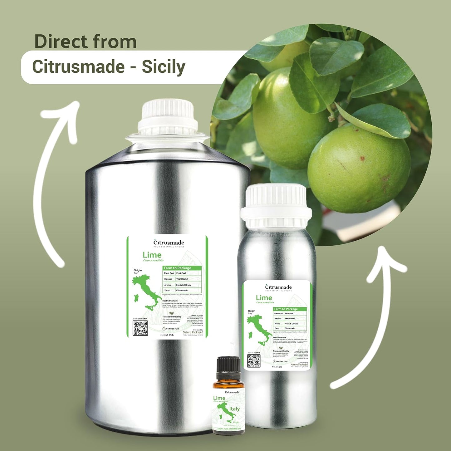 Lime Essential Oil - Direct from Citrusmade in Sicily- Pure Essential Oils for Diffusers and Aromatherapy in The Mediterranean - 100% Pure Therapeutic Grade (15ml)