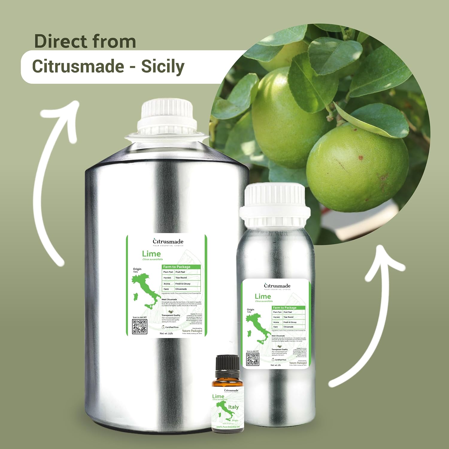 Lime Essential Oil - Direct from Citrusmade in Sicily- Pure Essential Oils for Diffusers and Aromatherapy in The Mediterranean - 100% Pure Therapeutic Grade (2LBS)