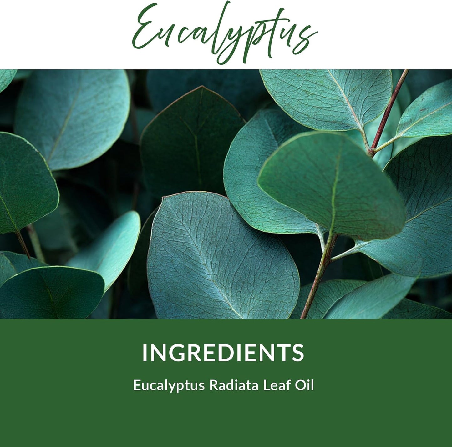 Essence Refresh Kit | Solid Scents Essential Oils | Aromatherapy Nasal Diffuser | Personal Scent Clip for Travel, Work & Everyday Use | Made in USA | Eucalyptus | Bamboo/Glass Pod