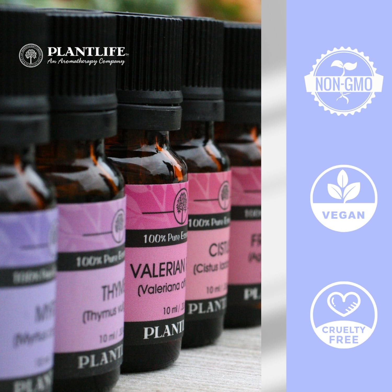 Plantlife Ylang Ylang Aromatherapy Essential Oil - Straight from The Plant 100% Pure Therapeutic Grade - No Additives or Fillers - 10 ml