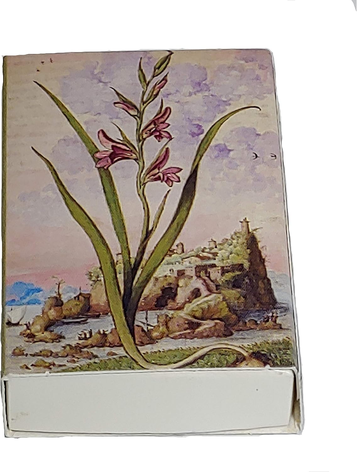 Decorative Mini Bontanical Floral Matchbox Set of 6 Matches for Candle and Fireplace Wood Matches
